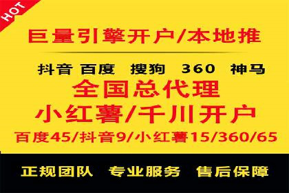 SEM代理服务：案例分享，效果显著